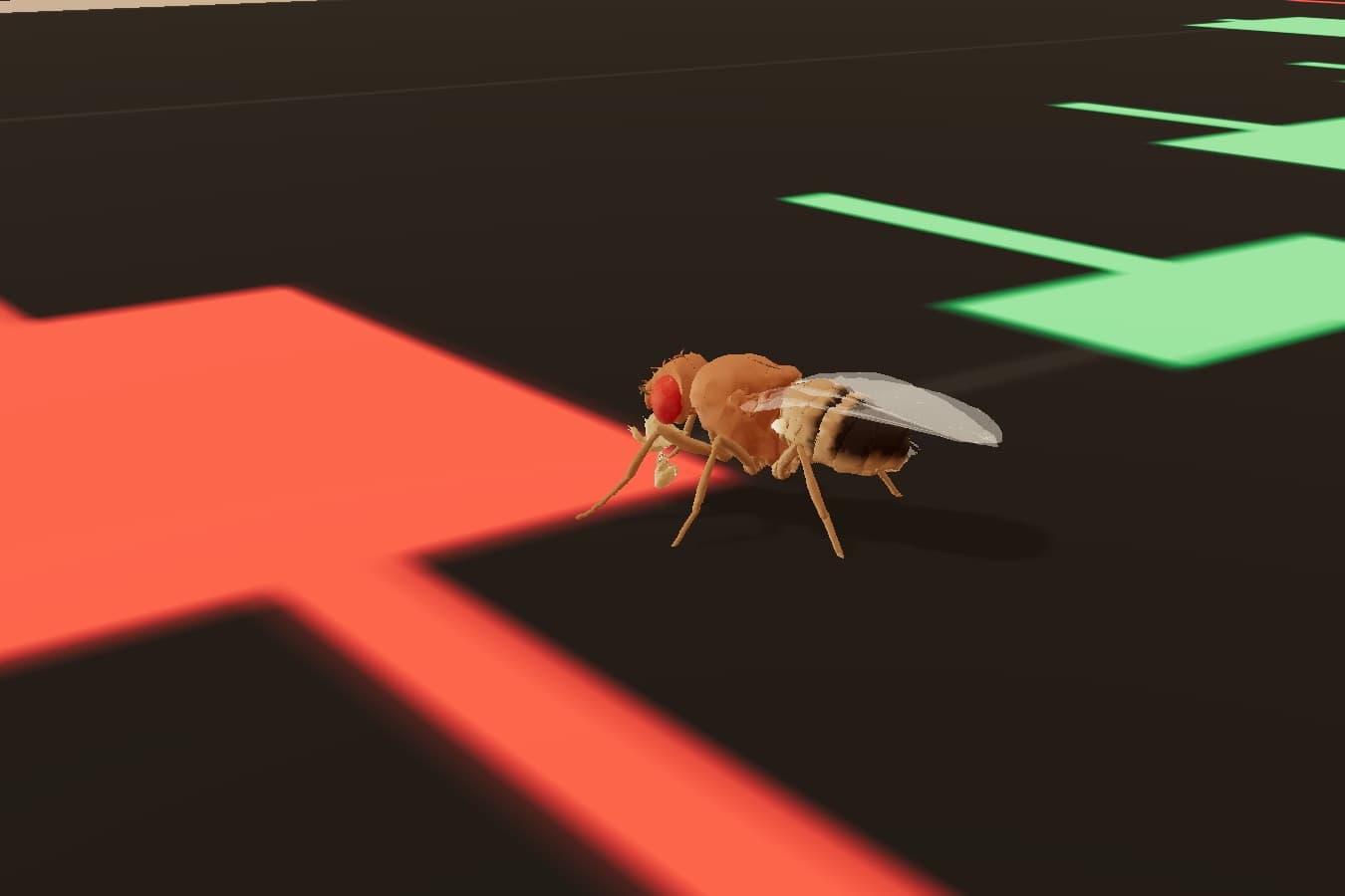 A fruit fly's smell circuit as a trading agent
