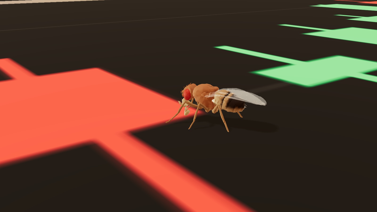 A simulated fruit fly standing on a candlestick chart